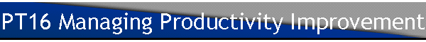 PT16 Managing Productivity Improvement